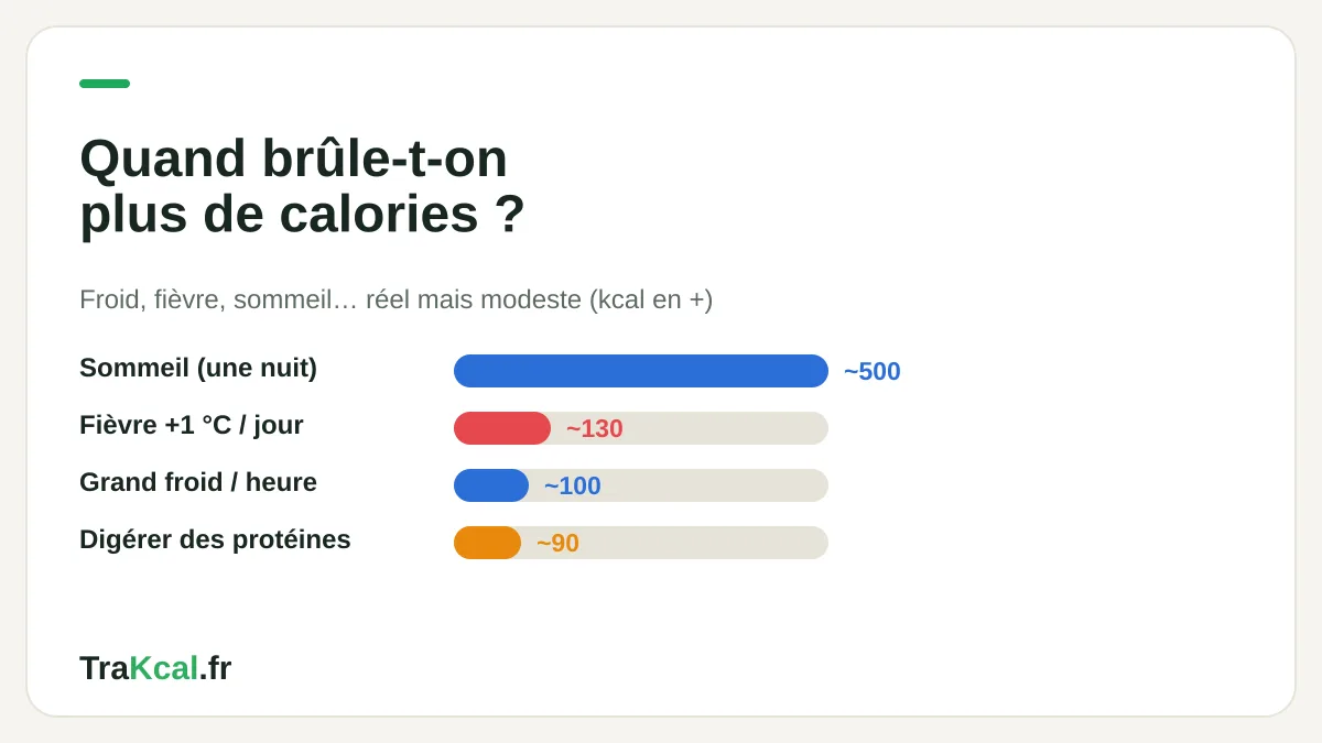 Quand le corps brûle plus de calories : sommeil, fièvre, froid, digestion — comparatif